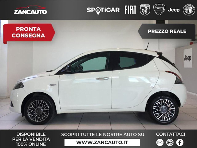 immagine non disponibile