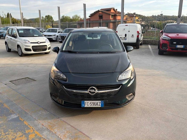 immagine non disponibile