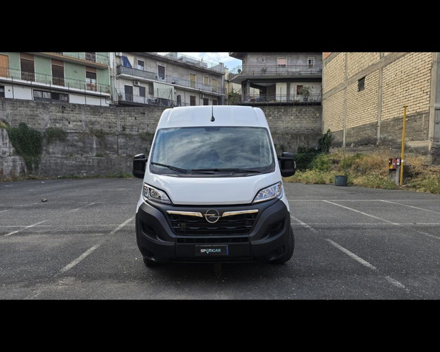 immagine non disponibile