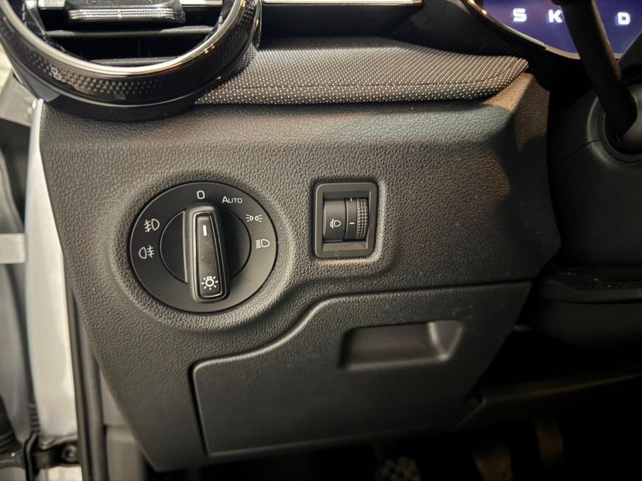 https://cdn-sp.caraffinity.it/SP/IT/SKODA-FABIA-2445989_16.JPG